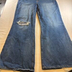 American Eagle Outfitters Distressed Blue Flare Jeans
